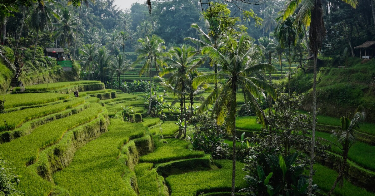 5 Keunikan Pulau Bali yang Wajib Kamu Ketahui!